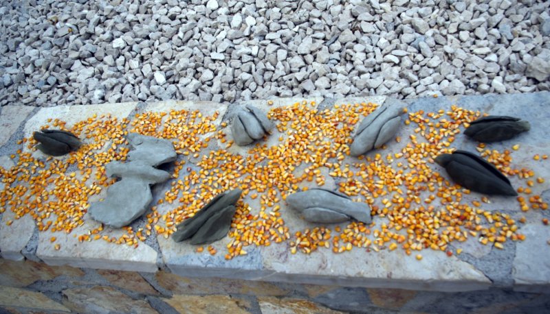 Kolonija Narona (06)
